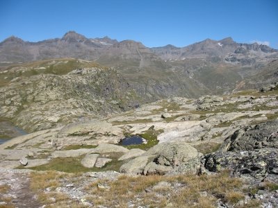 IMG_0337.JPG