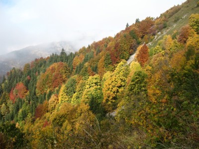 IMG_0149.JPG