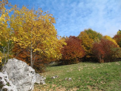 IMG_0189.JPG