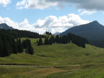 IMG_0230.JPG