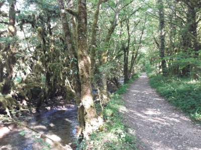 20170528_174549.jpg