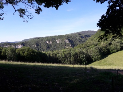 20170528_185923.jpg