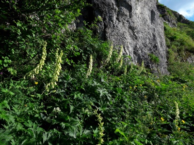 20170729_190423.jpg