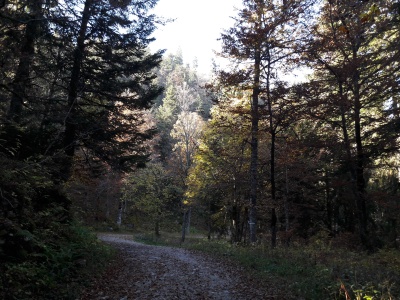 20181021_162115.jpg