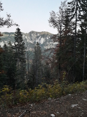 20181021_185602.jpg