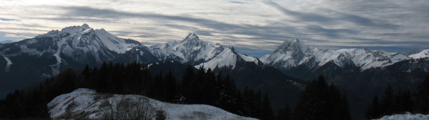 IMG_0035_p.jpg