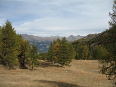 img_20191012_04.jpg