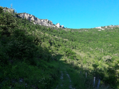 20200517_191219.jpg