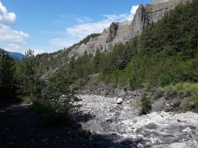 20200603_112759.jpg