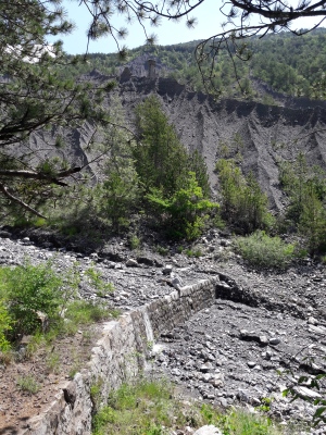 20200603_114737.jpg