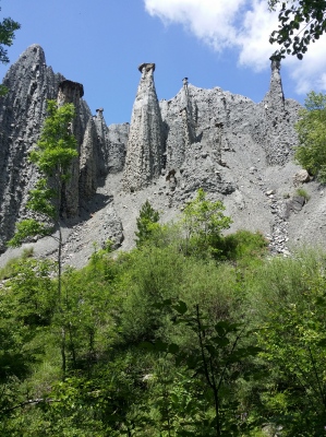 20200603_131007.jpg