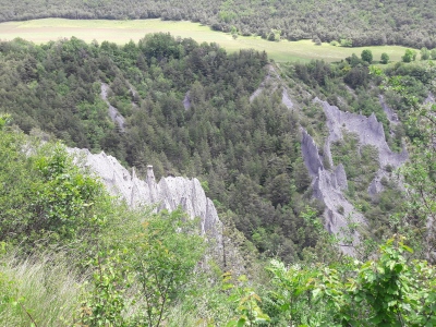 20200603_134449.jpg