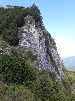 20200730_165029.jpg
