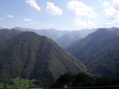 20200730_171441.jpg