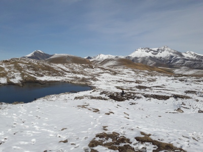20201025_131014.jpg