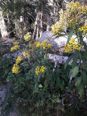20210913_180831.jpg