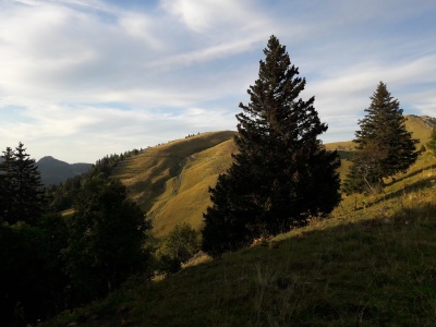 20210913_185750.jpg