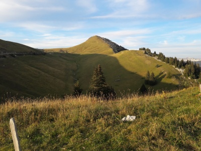 20210913_191202.jpg