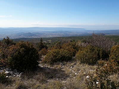 20211028_120154_1.jpg