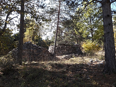 20211028_123207_1.jpg