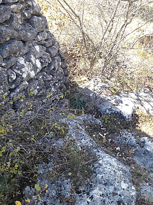 20211028_140258_1.jpg