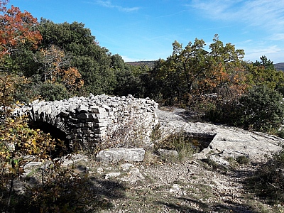20211028_144730_1.jpg