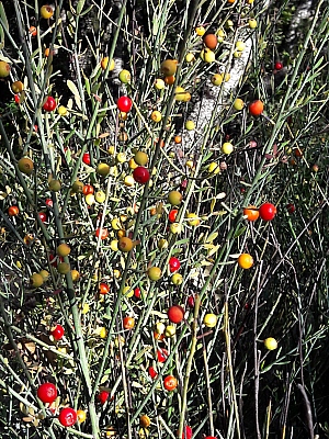 20211028_155150_1.jpg