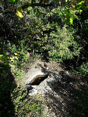 20211028_163736_1.jpg