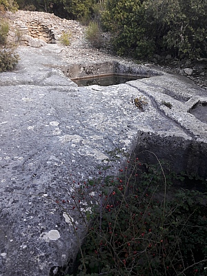20211028_165557_1.jpg