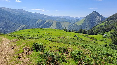 20230731_153858.jpg
