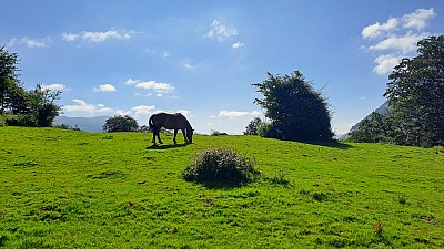 20230731_172538.jpg