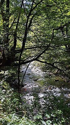 20230805_114226.jpg