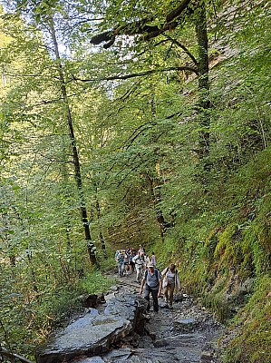 20230805_115600_r.jpg