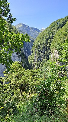 20230805_125446.jpg