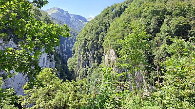 20230805_125453.jpg