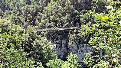 20230805_125907.jpg
