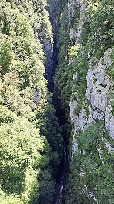 20230805_141936.jpg