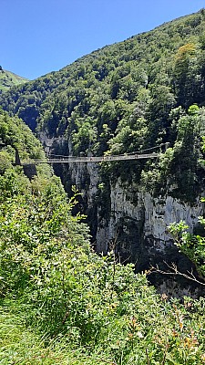 20230805_142453.jpg
