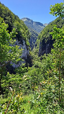 20230805_142629.jpg