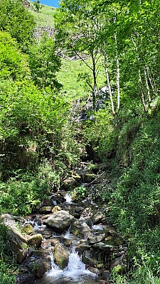 20230805_152833.jpg