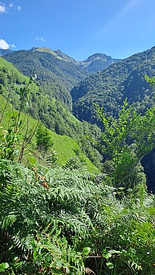 20230805_164949.jpg