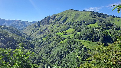 20230805_164959.jpg