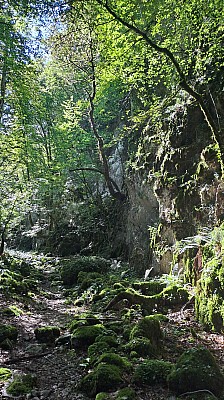 20230807_112015.jpg