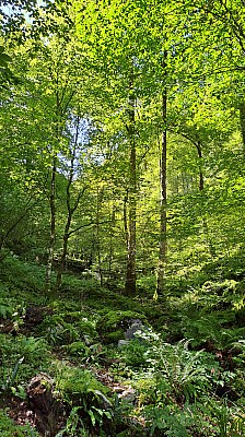 20230807_121427.jpg