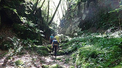 VERNA_07-08-2023_3.jpg