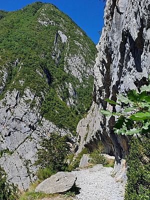 20230808_122856.jpg