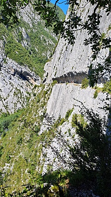 20230808_123138.jpg