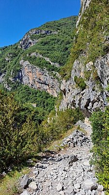 20230808_123826.jpg