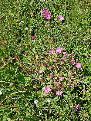 20230808_153957.jpg