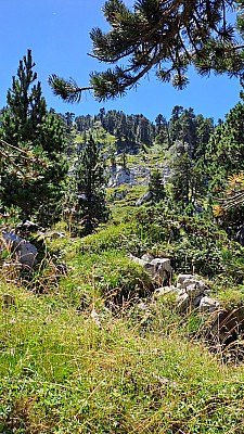 20230811_131905.jpg